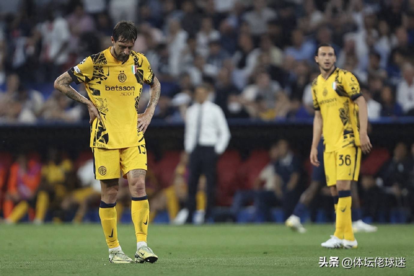 欧冠今晚走向成谜，浙江队战术微调，气氛紧张，赛程密集仍需轮换